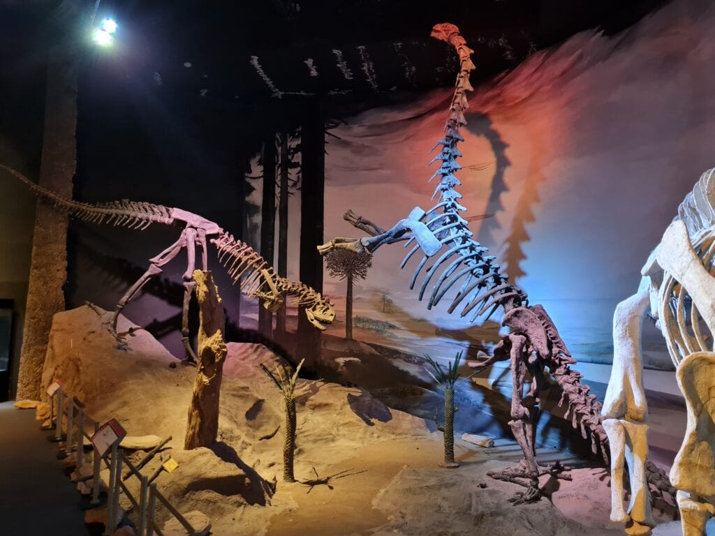 que hacer en trelew museo paleontologico 1